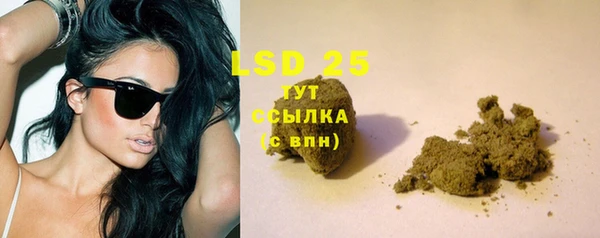 крисы Аркадак