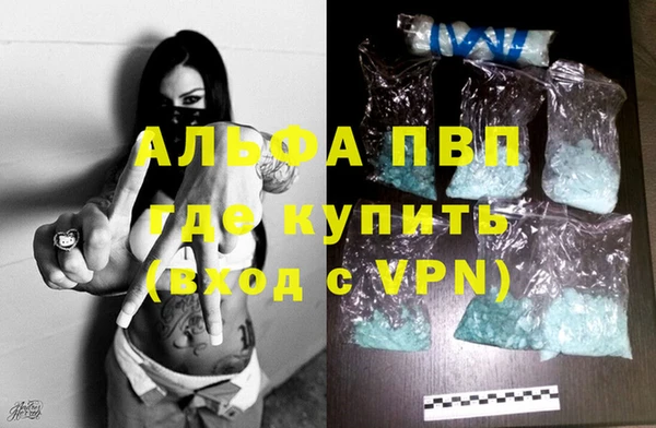 гашик Арсеньев