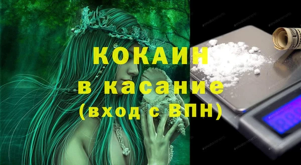 крисы Аркадак