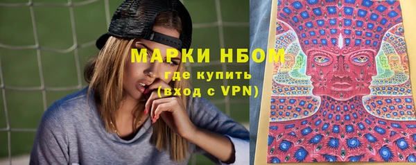 гашик Арсеньев