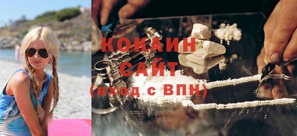 гашик Арсеньев