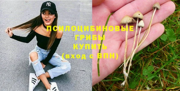 крисы Аркадак