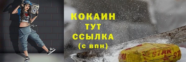гашик Арсеньев