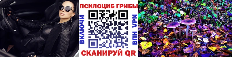 Галлюциногенные грибы Psilocybine cubensis  Гдов 